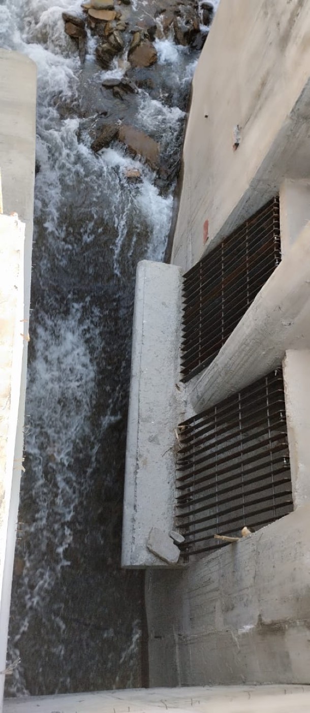 Gallery8 (image 4)